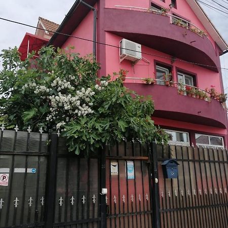 Năvodari Vila Mihai מראה חיצוני תמונה